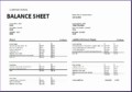 9 asset and Liability Report Balance Sheet