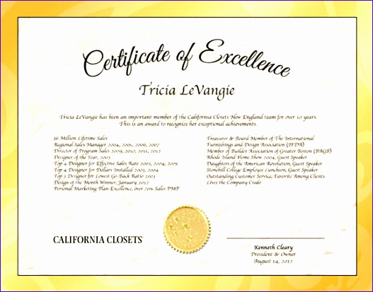 Certificate of Excellence Template Sample Example Format Certificate of Excellence Template Download