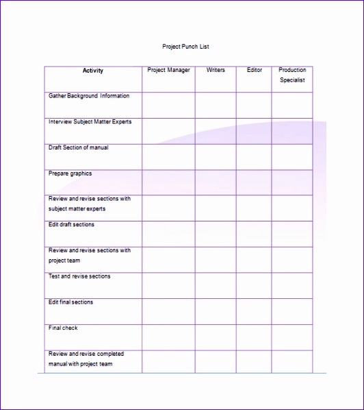 Project Punch List Template Example