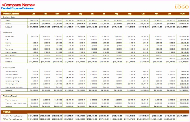 Professional Business Bud Template