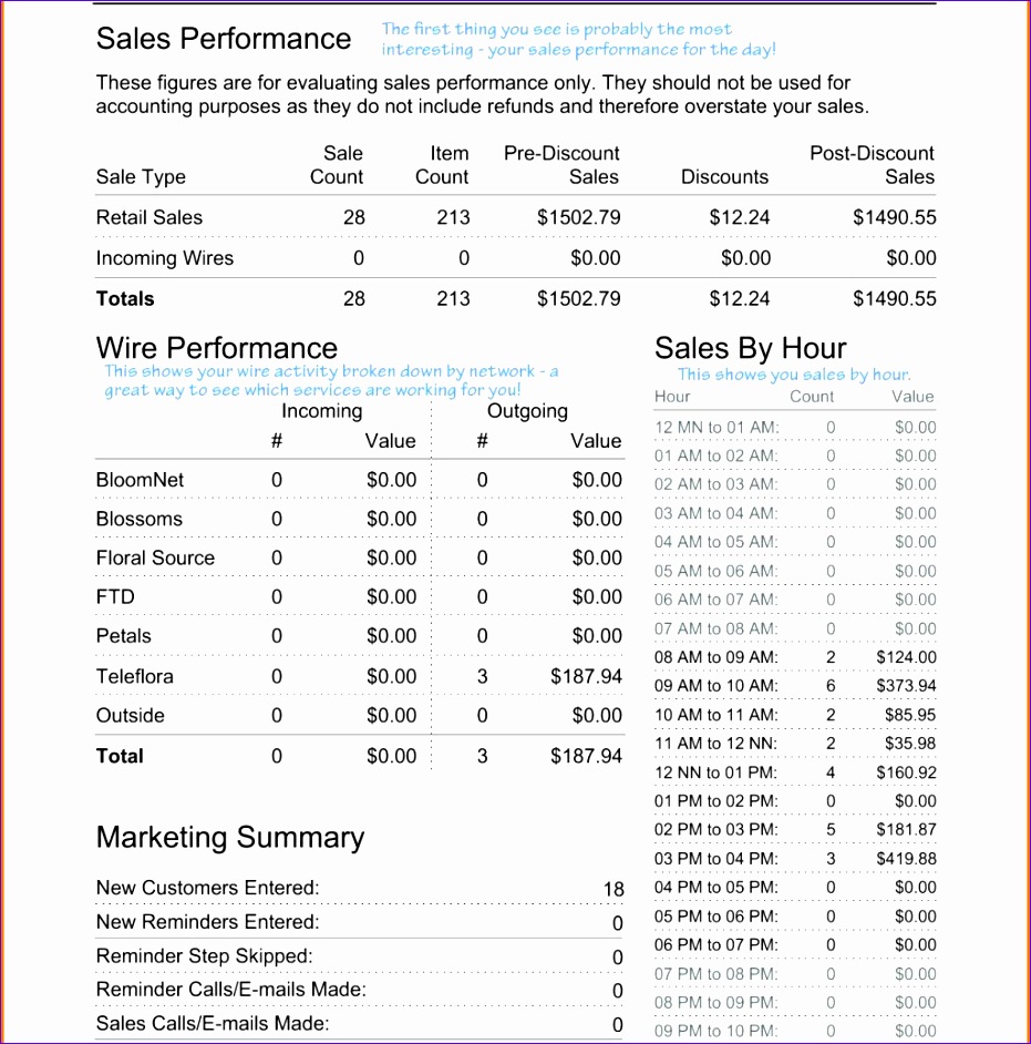 daily sales report template excel and daily sales report sample excel