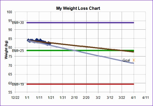 Sample Weight Loss Chart Template Kgs