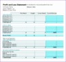 8 Excel P and L Template