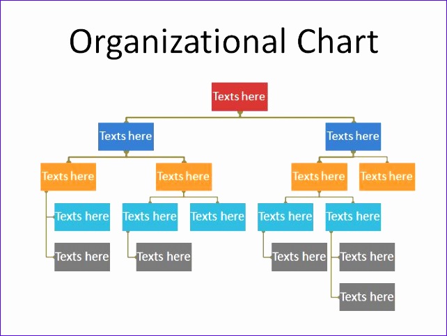 Organizational Chart 19