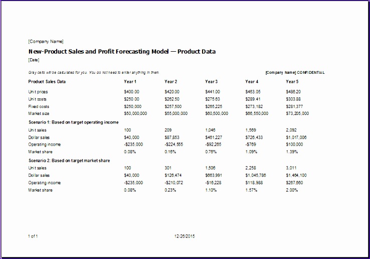 new product sale and profit forecating model