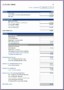 9 Income Statement Template Excel 2007
