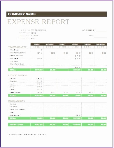 Expense report template