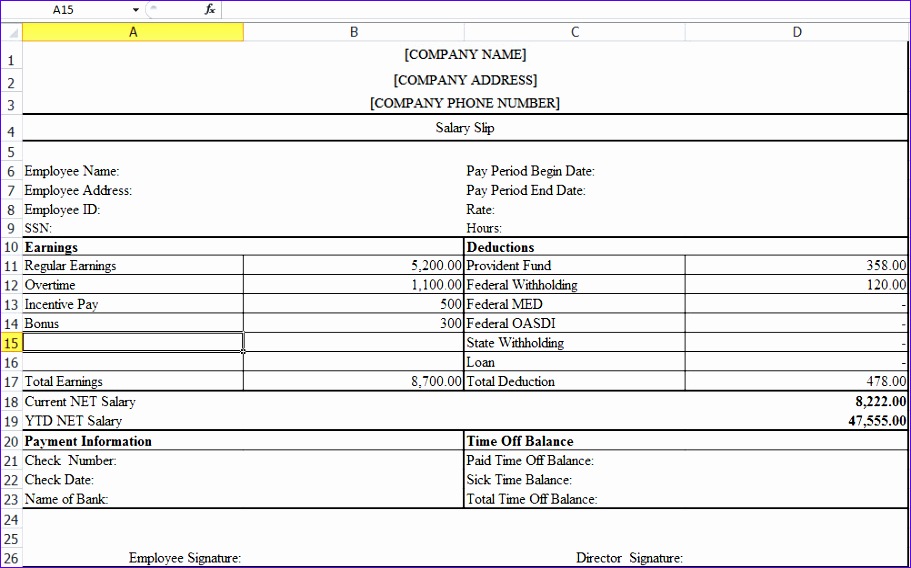 pay slip template