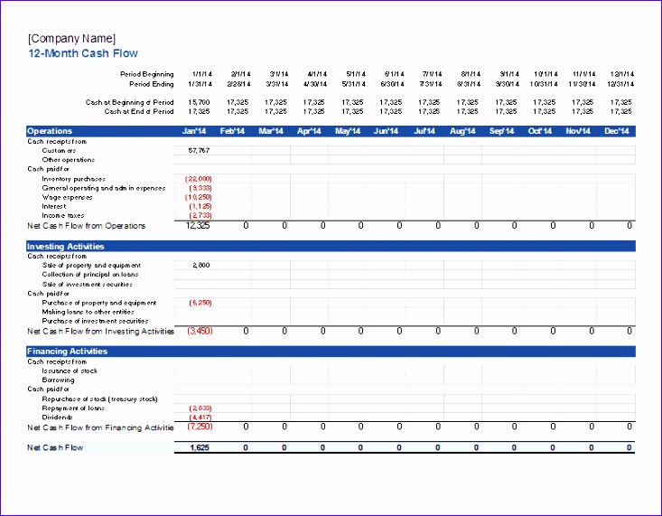 12 month cash flow projection
