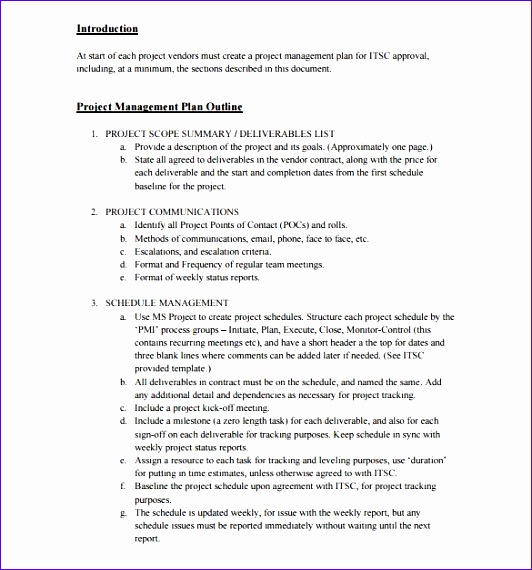 Download Project Management Outline Template