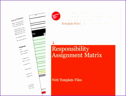 responsibility assignment matrix web template files report full