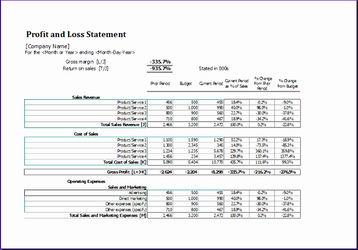 Profit and loss statement
