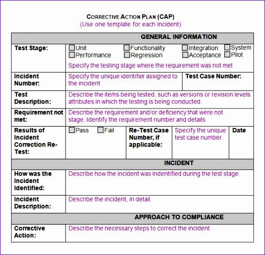 CORRECTIVE ACTION PLAN CAP2