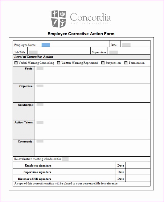 Employee Corrective Action Form Template