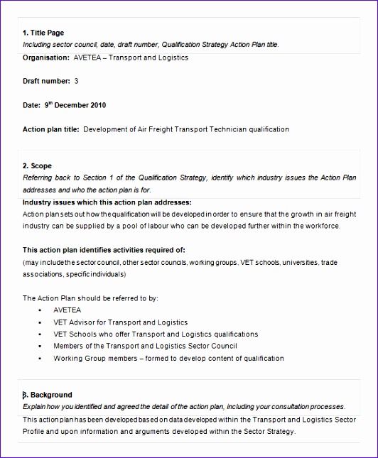 Action Plan Template Sample for Individual Projects