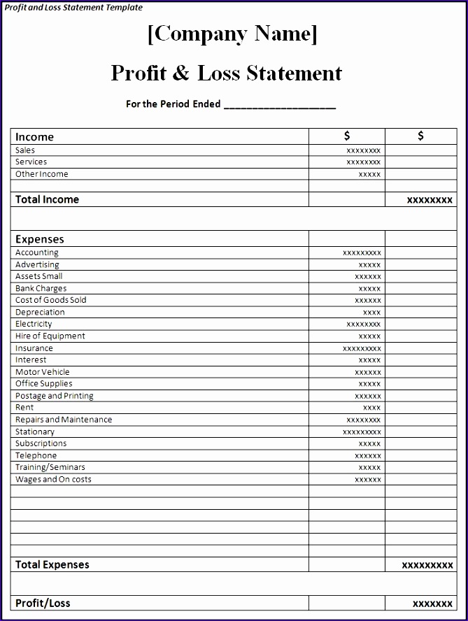 profit and loss statement template mtjst3eo