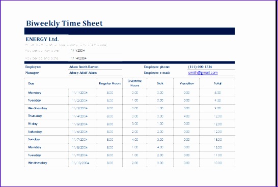biweekly time sheet 600x400