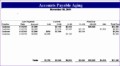 10 Accounts Payable Excel Template