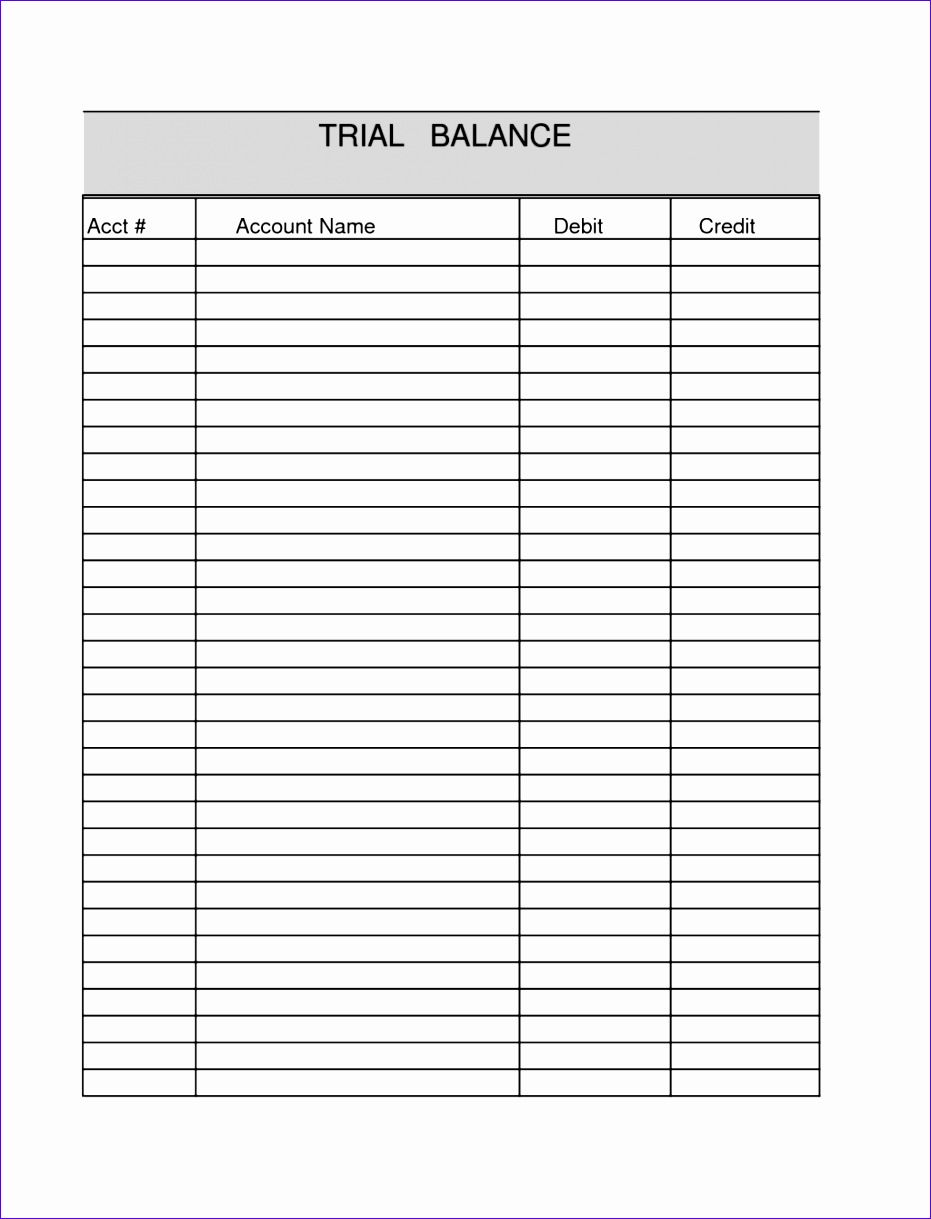blank accounting trial balance and balance sheet template sample 9311219