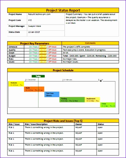 management report template