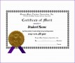 8 Award Of Excellence Certificate Template