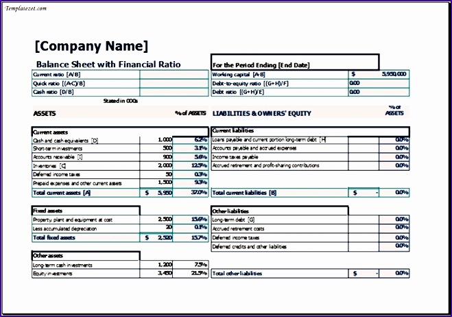 balance sheet with financial ratio template excel 659462