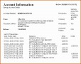 10 Bank Account Excel Template