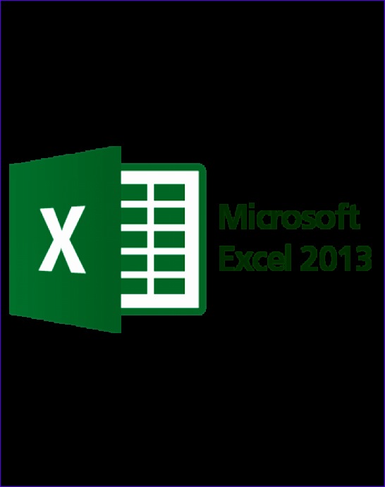 Microsoft Excel%