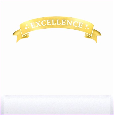 Foil Certificate Paper Excellence Banner at Baudville 614k0 WT 453458