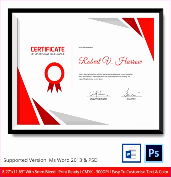 Sports Certificate Template 6 Word PSD Format Download 128g5 sports certificate 546565