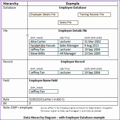 File Data Hierarchy diagram showing Employee database example by JeffTan 472473