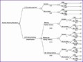 10 Decision Tree Excel Template