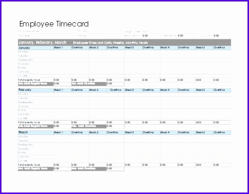 Employee timecard daily weekly monthly and yearly 500391
