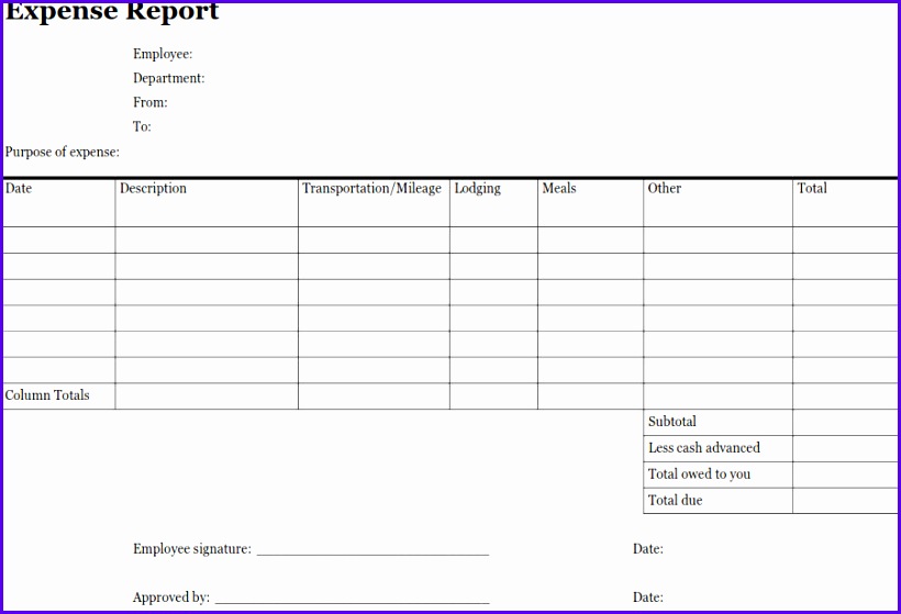 Blank Expense Report 820559