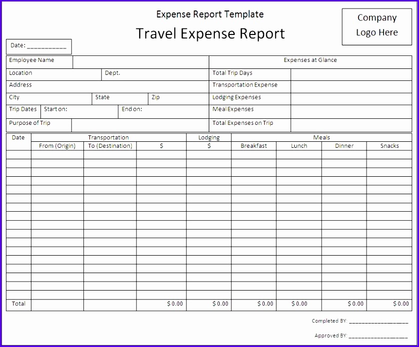 Sample Expense Report Template 839695