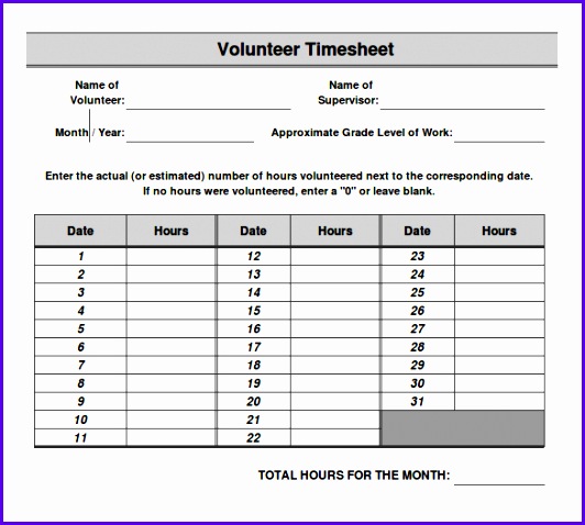 13 Volunteer Timesheet Templates – Free Sample Example Format 532478