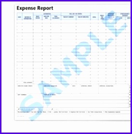 Excel Monthly Expense Report Template a part of under Business Templates 273276