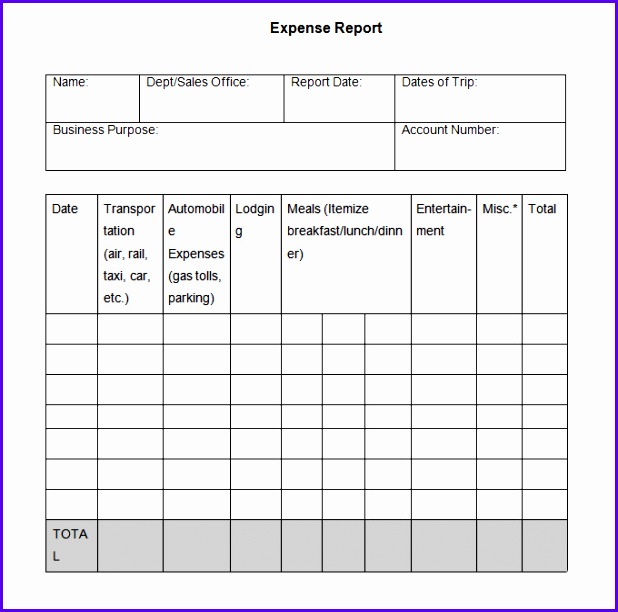 Monthly Expense Report Template 618612