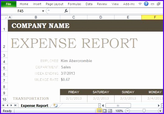 Simple Yet Stylish Expense Report Template 527368