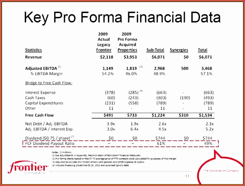 pro forma financial statements example