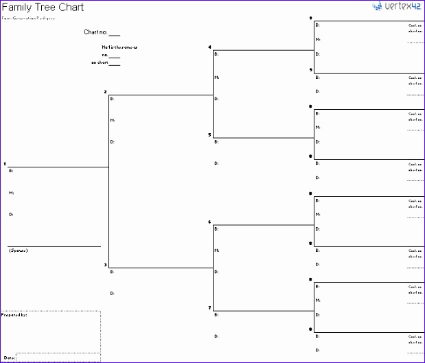 family tree chart template 619529