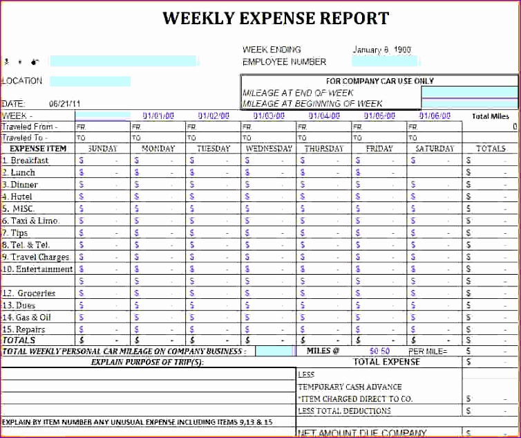 12 expense tracker template 754633