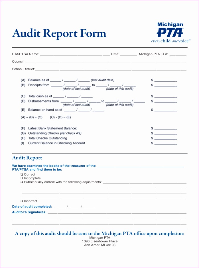 audit report 698942
