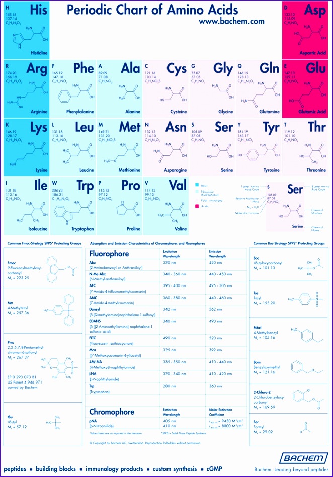 amino acid chart 662949
