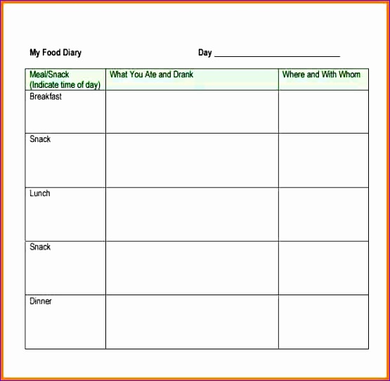 9 food log template 555542