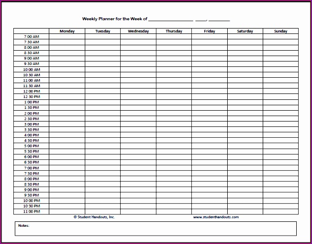 7 weekly hourly planner bookletemplate 5v036 7 weekly hourly planner