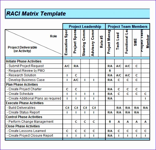 raci chart template 527506