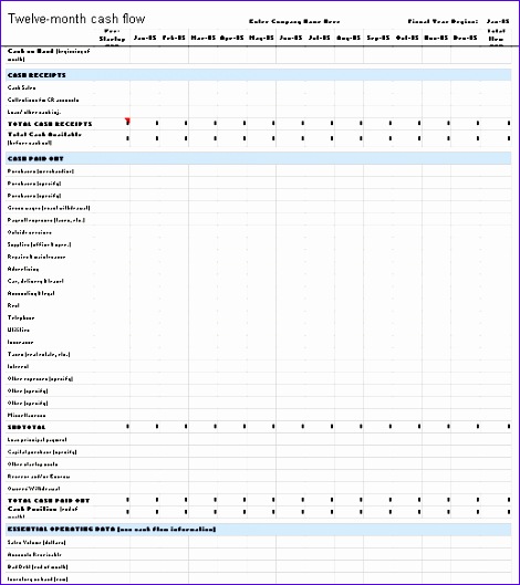 12 month cash flow statement 1374 470529
