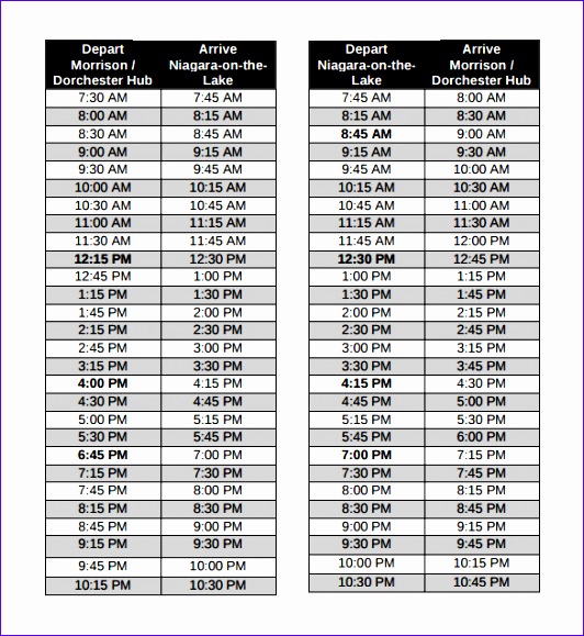 college schedule template sample