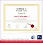 11 Excellence Award Certificate Template